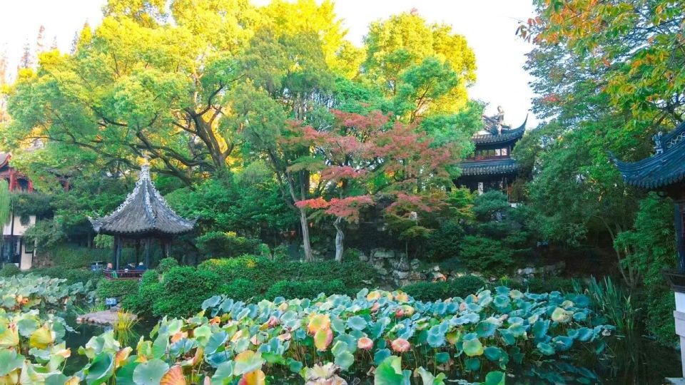 在近百米宽 在近百米宽